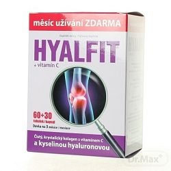 Dacom Hyalfit + vitamín C 60 kapsúl