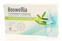 Favea Boswellia s Kolagénom 30 tabliet