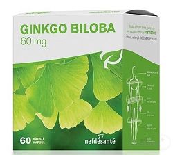 nefdesanté GINGKO BILOBA 60MG