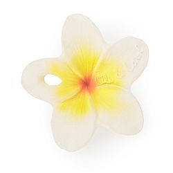 Oli&Carol mini kvet Hawaii the Flower 1×1 kus