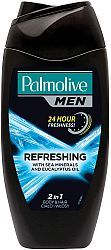 Palmolive for Men Refreshing sprchový gel 250 ml