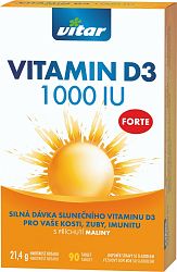 Revital Vitamín D3 FORTE 1 000 IU tbl s príchuťou maliny 90 ks