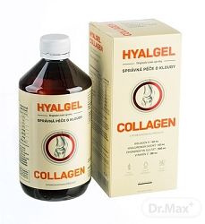 Silvita Hyalgel COLLAGEN 500 ml