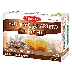 TEREZIA HUBOVÉ QUARTETO s REISHI 60