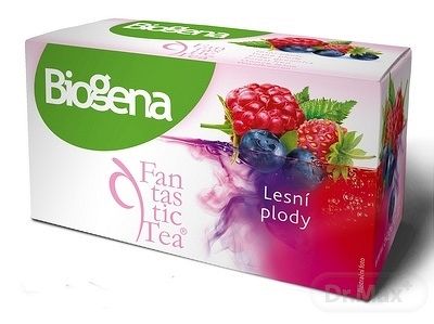 Biogena Fantastic Tea Lesné plody ovocný čaj 20 x 2,2 g